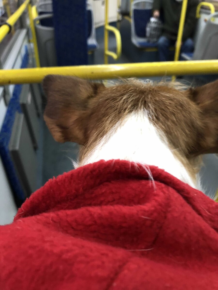 Поехали на разведку