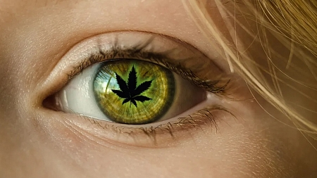 глаукома лечение и марихуана