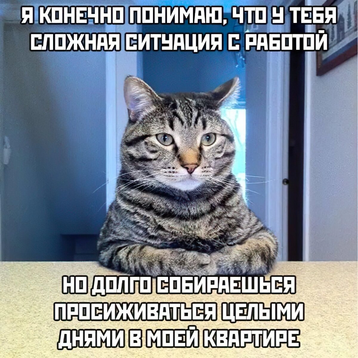 Источник: Pressa.tv