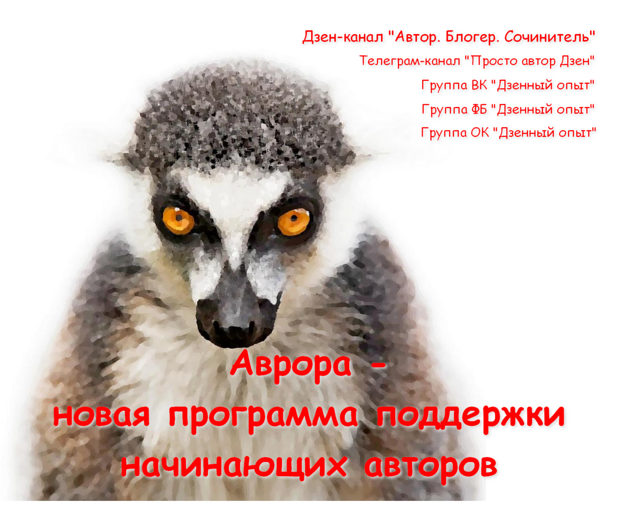 Аврора Яндекс.Дзен – новая программа поддержки начинающих авторов:  Показываю и рассказываю, как подать заявку | Prompt_Дзен | Дзен