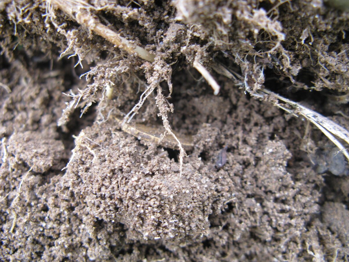 Кто там спрятался?