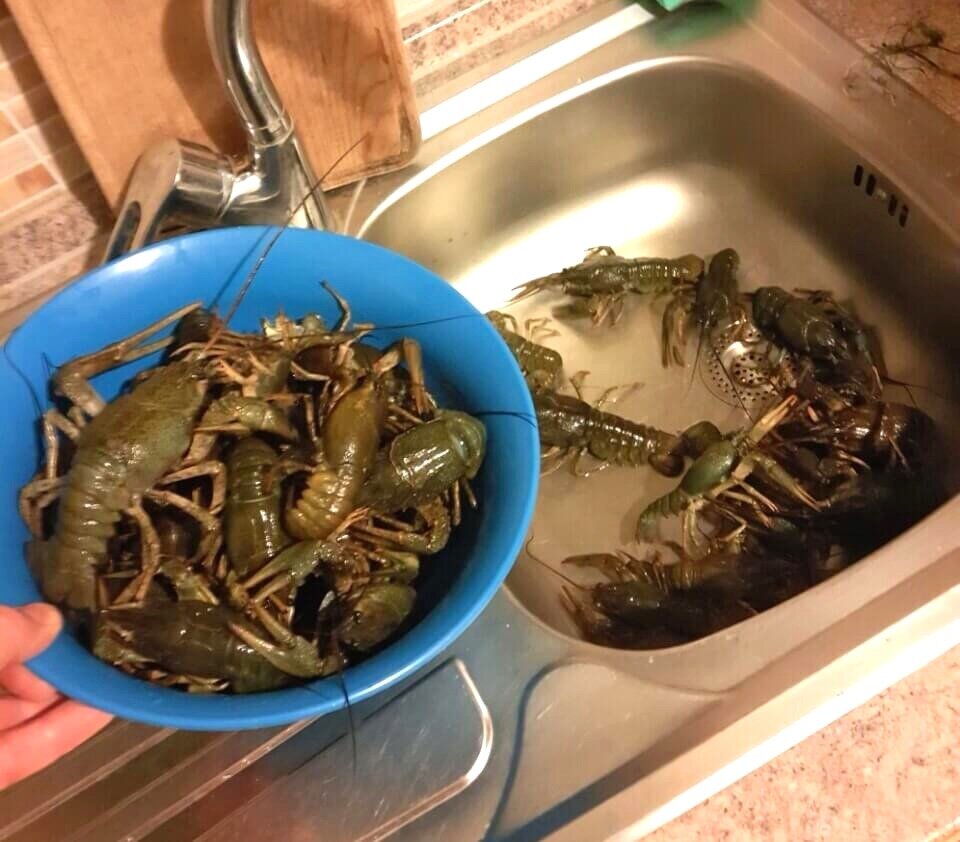                                                                                 Красотищааа.