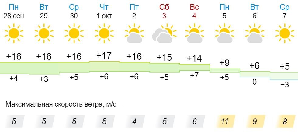 Погода на неделю ловцы. Солнечный день в Хабаровске.