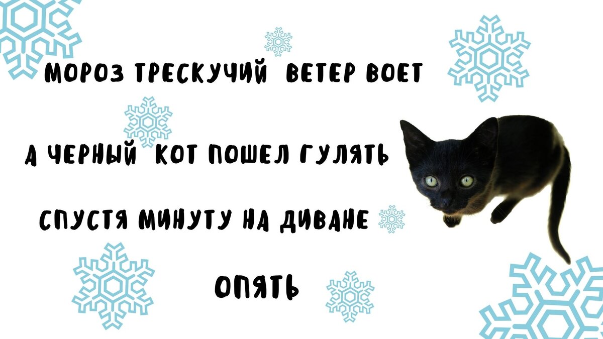 стишки порошки о котах и зиме. коллаж автора.