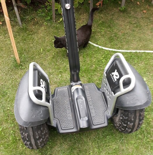 Как-то так выглядит Segway без руля (на фото я руль отрезала в программе, но гаечка осталась; в жизни - нет и её).