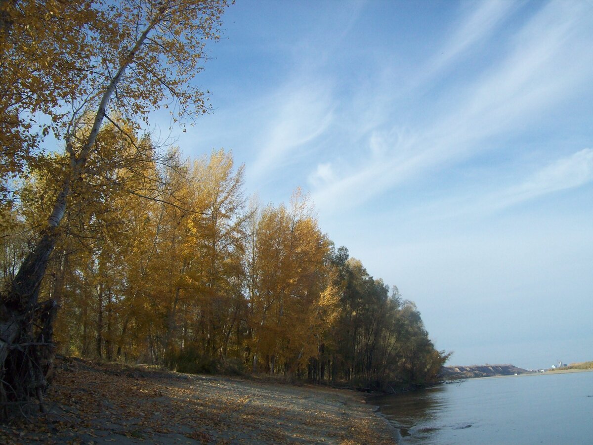 Обь осенью. Фото из открытых источников