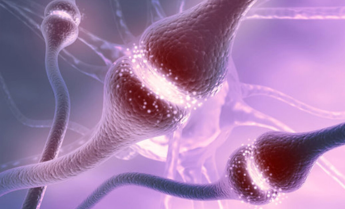 Источник изображения:  Adobe Stock