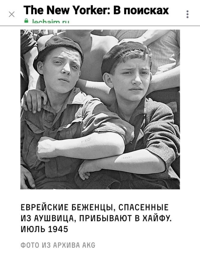 Еврейские беженцы прибыли в Палестину.