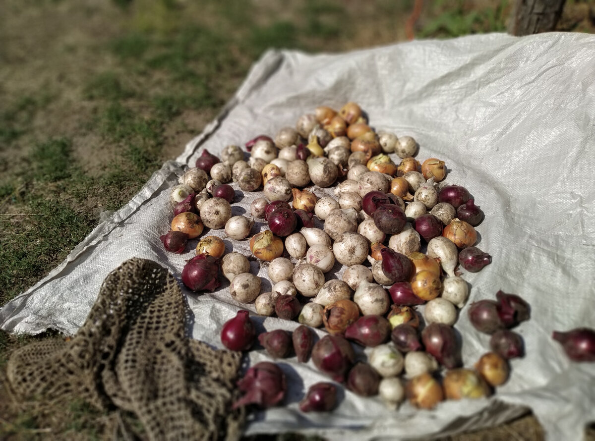 После чистки. Тут не все, половина гле-то...