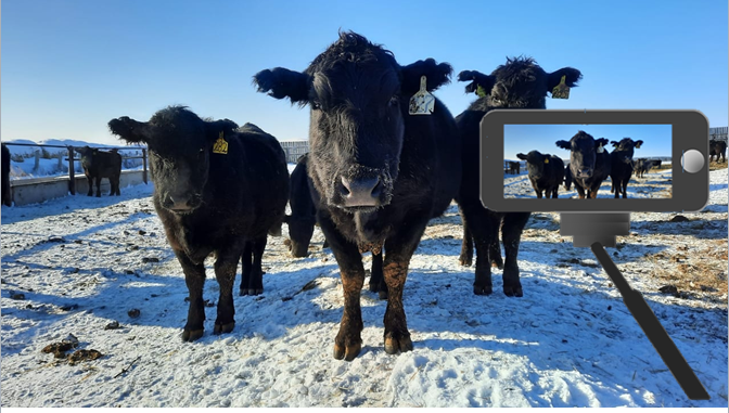 делаем видеоролик