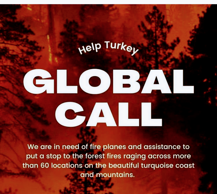 Фото из свободных источников