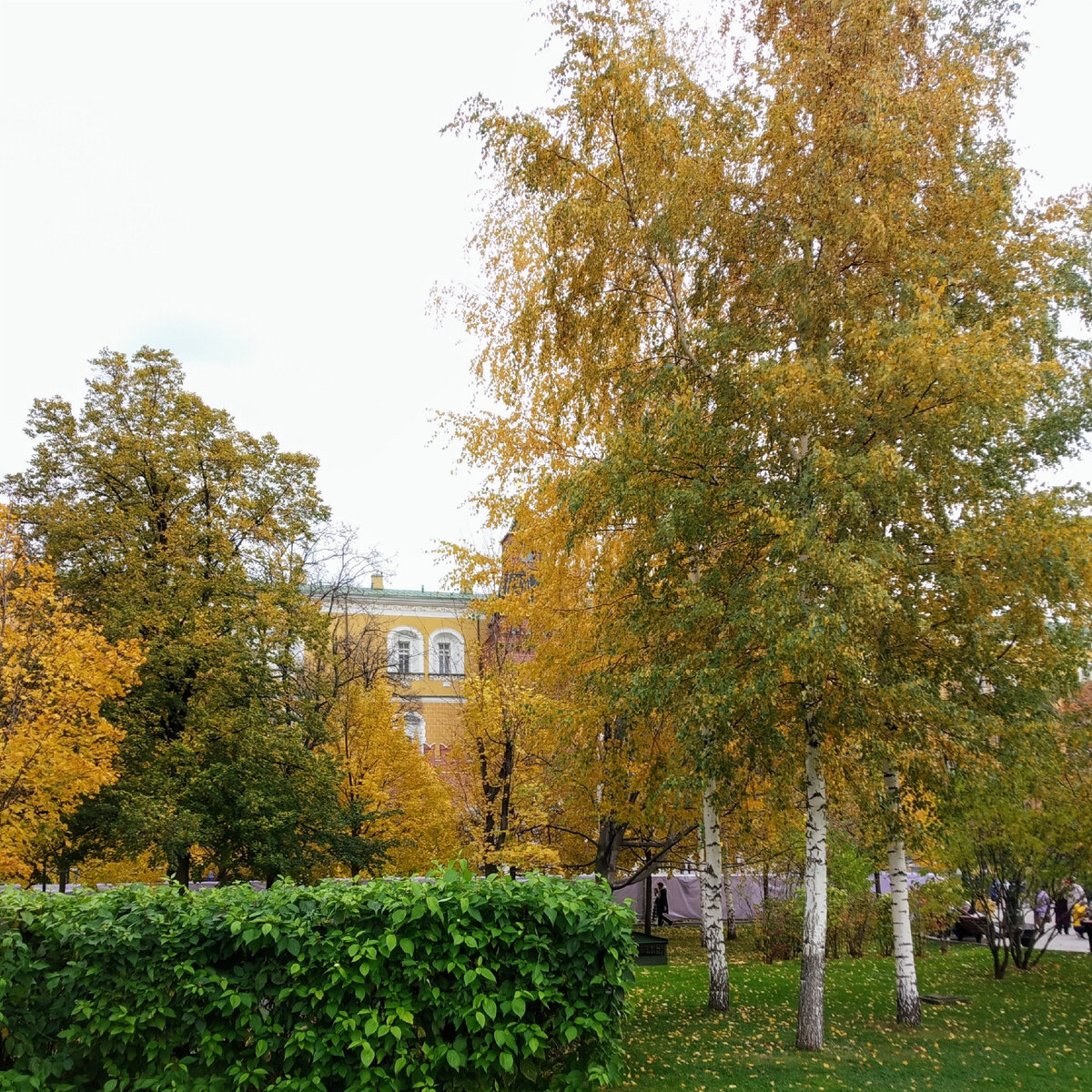 Просто осень