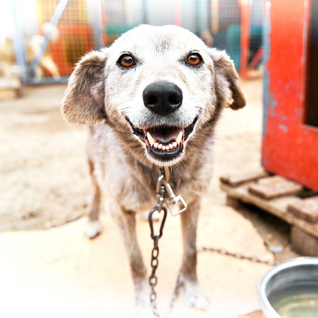 Бара сейчас. 