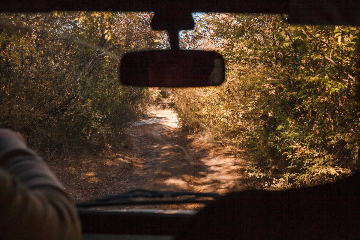 Нормальная такая дорога...