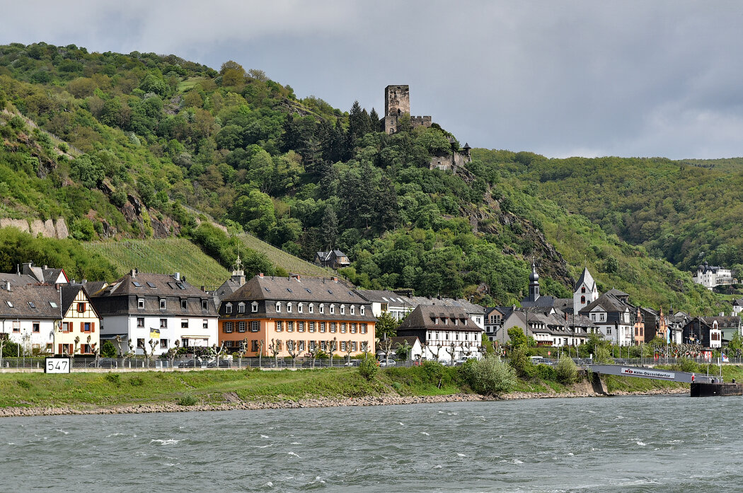 Рейн, Майнц