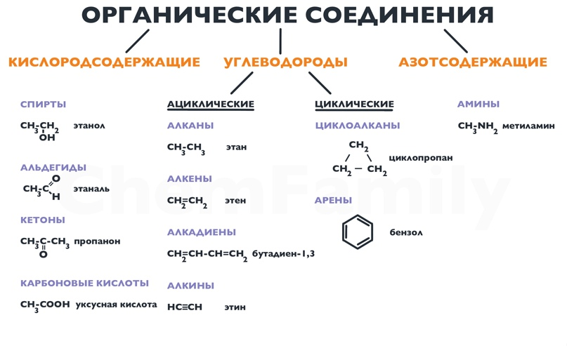 Органические вещества на кухне