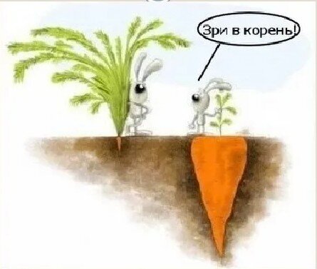 Что корень зреть мешает мне, \\Какие шоры и преграды?
