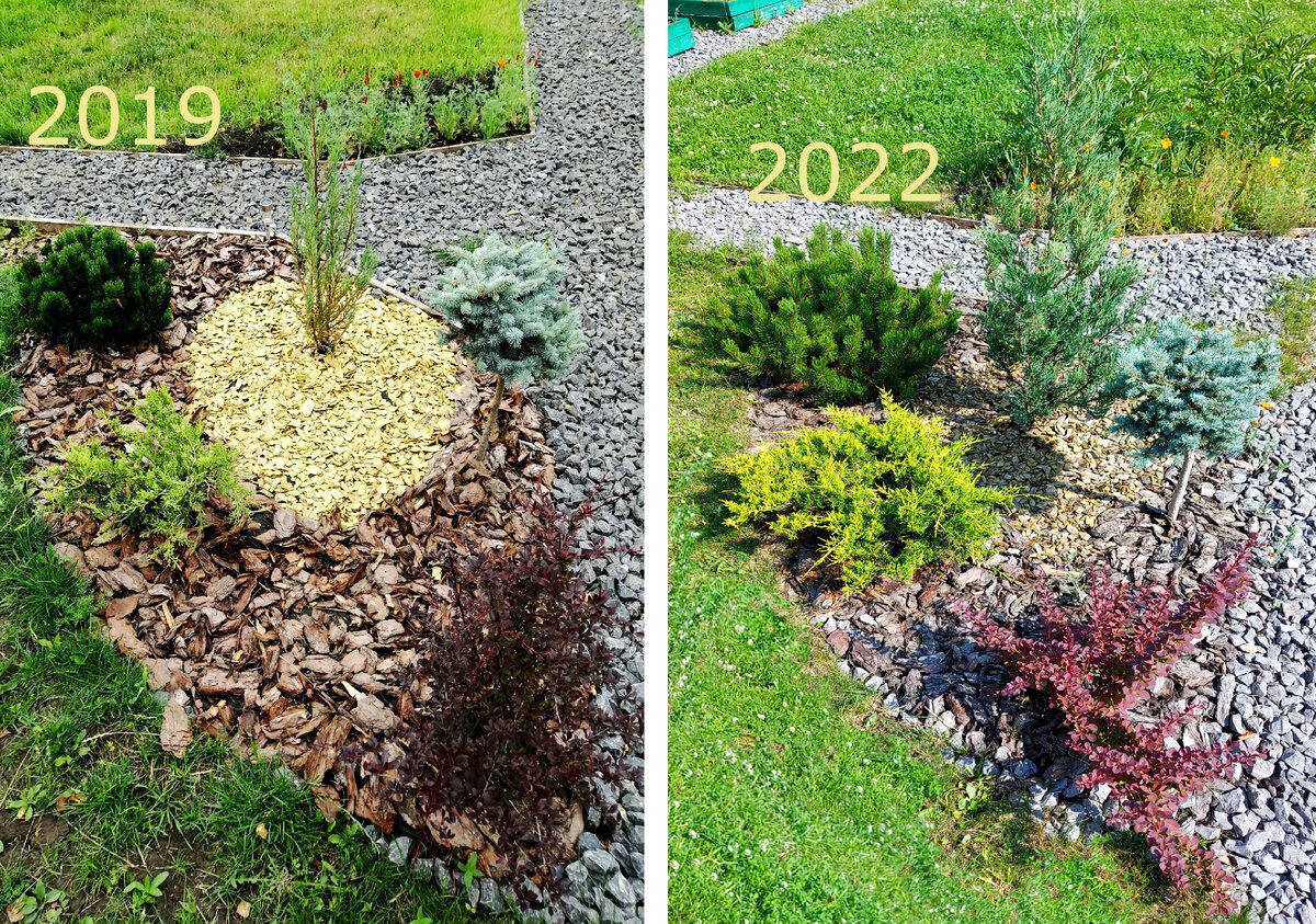 Рокарий: рост за 3 года