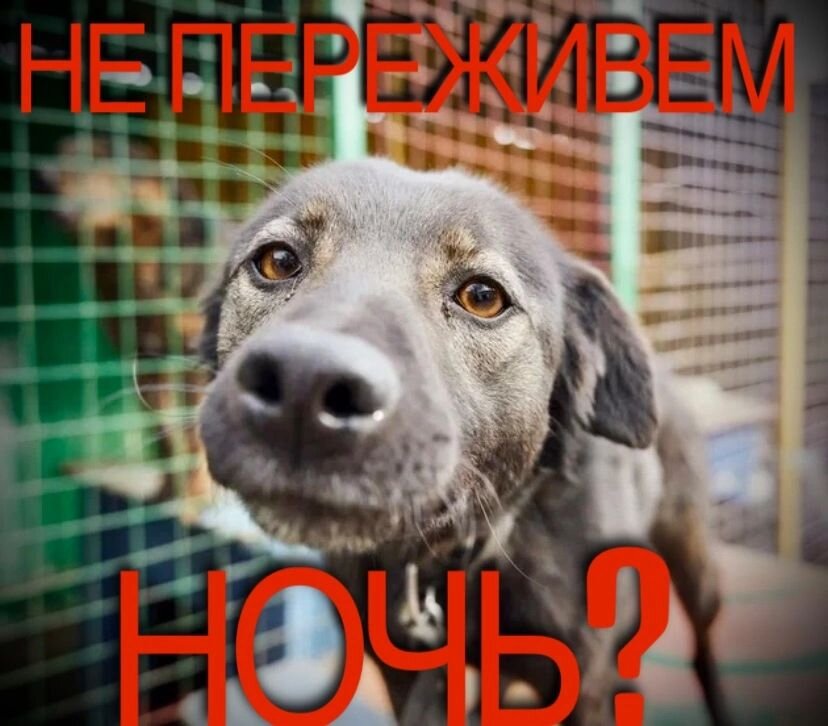 Сможем ли мы оплатить аренду? 