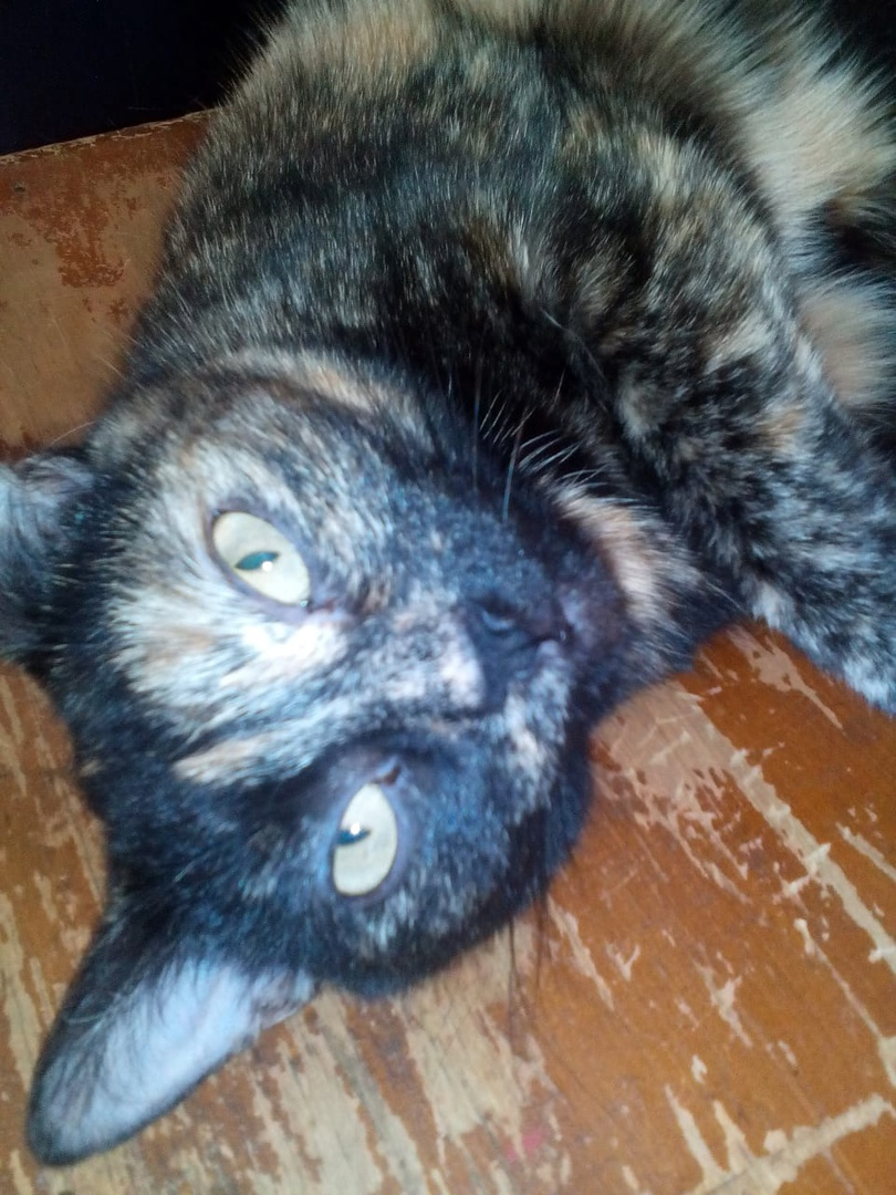 Рига отдыхает 