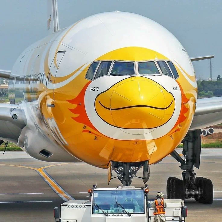 Boeing 777 "Duck".