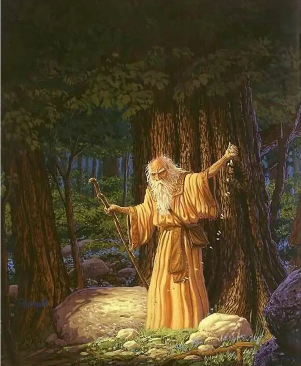 Картинка из Интернета 