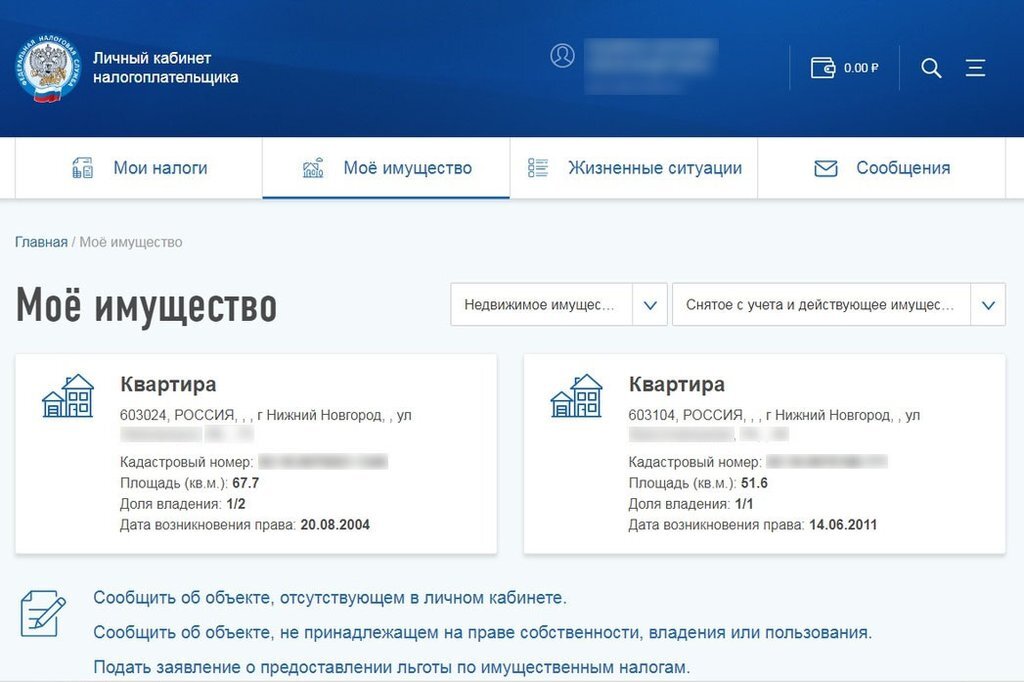 Скриншот: nalog.ru