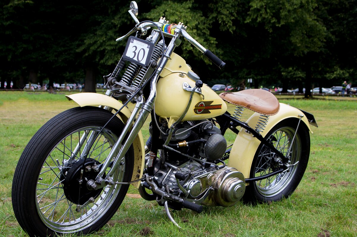 Harley Davidson