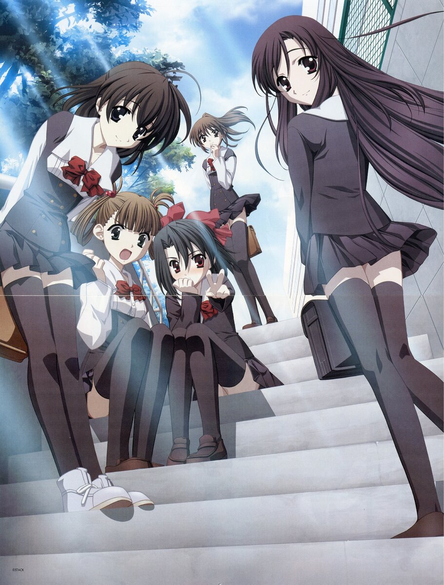 Слева направо: Секай Сайоднзи, Хикари Курода, Сецуна Киора, Отомэ Като, Котоноха Кацура.
Источник: артбук из игры «School Days». ©STACK, ©Overflow.  