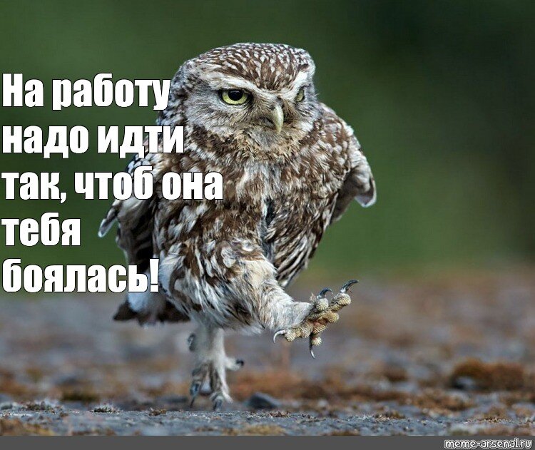 Картинка с просторов интернета.Бодренько на работоньку,как можно бодрее))).