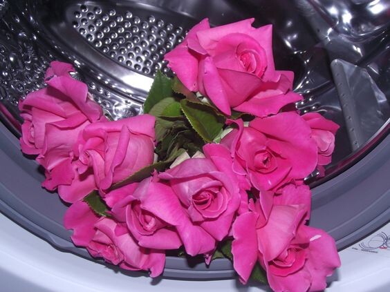 https://www.pinterest.com/pin/218495019400587007/?nic_v1=1acpmd%2B3HhQhmDecqCjIQi87M9BS1xEN%2FfhTk5day9AfBoz45IP9IiOTfdUgF1IDHE