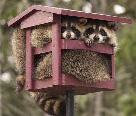 Спасибо авторам картинки