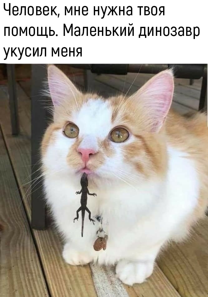 Фото взято из коллекции автора