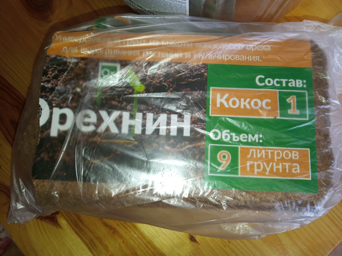 Фото из личного архива