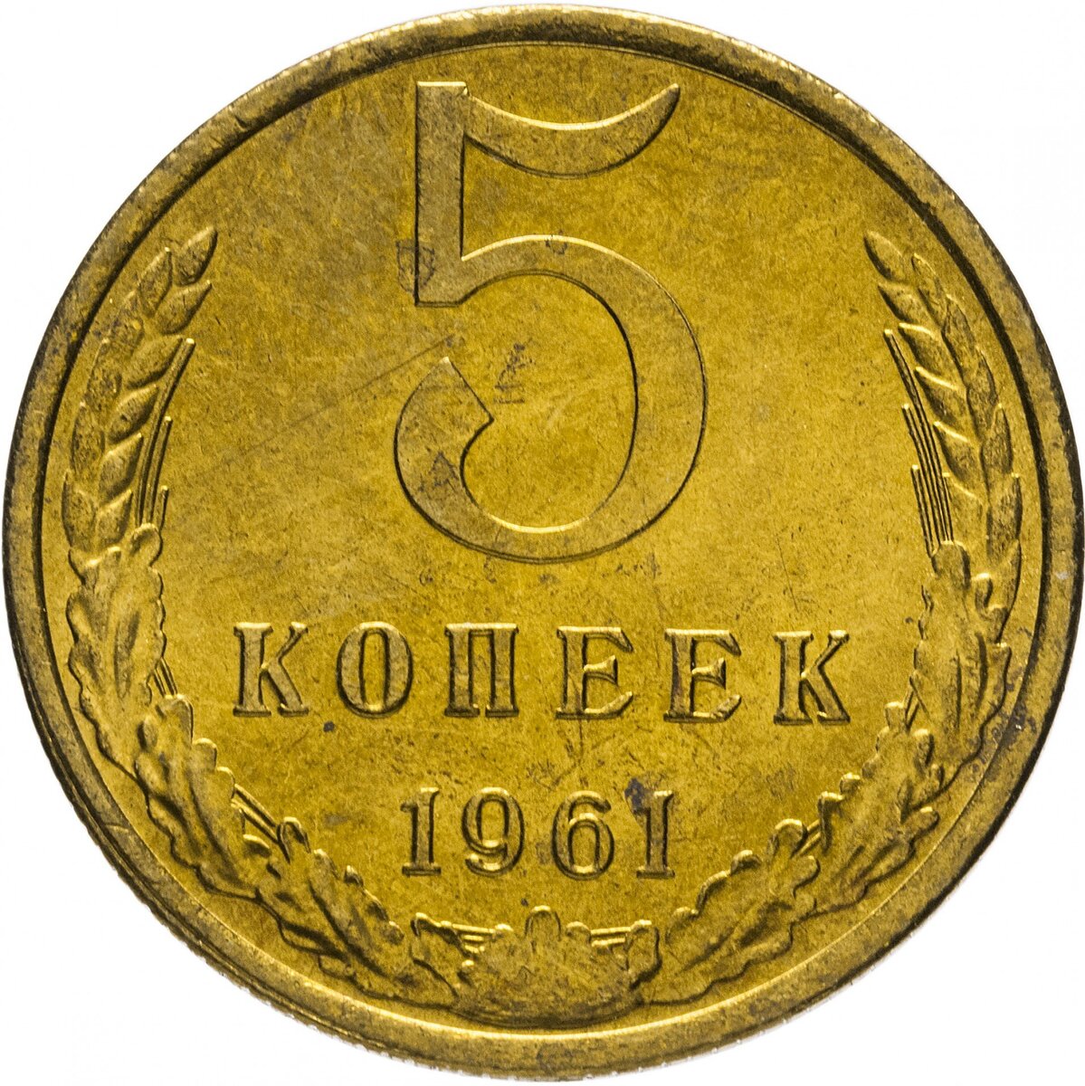 12 5 лет