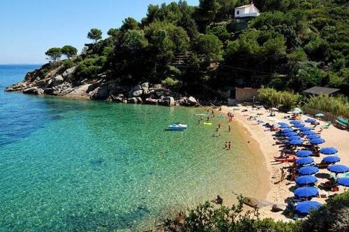 Подобные идеи могут стать новой нормой, ведь  некоторые эксперты предполагают, что соблюдать социальную дистанцию  будет необходимо до 2022 года. Ученые прогнозируют, что если лекарство  от COVID-19 не будет найдено, вспышка заболевания может повториться в  2025 году.

