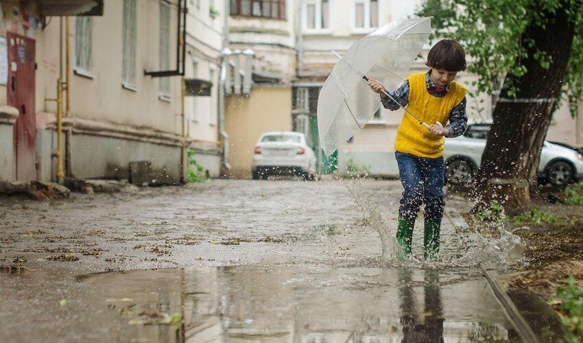 Фото: pixabay.com