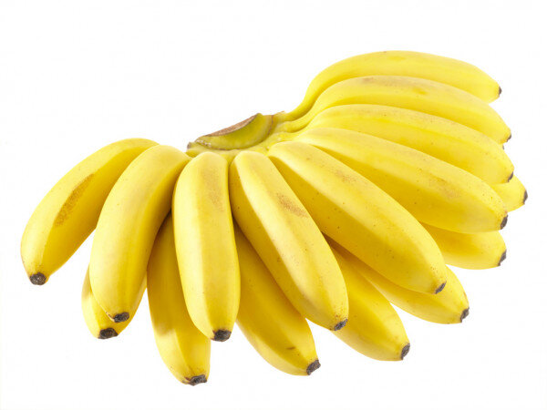 https://static3.depositphotos.com/1000123/106/i/950/depositphotos_1063550-stock-photo-bunch-of-bananas.jpg