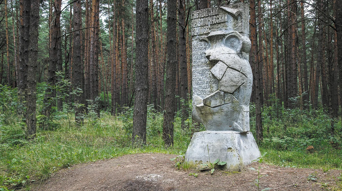 картинка вяза из свободного источника