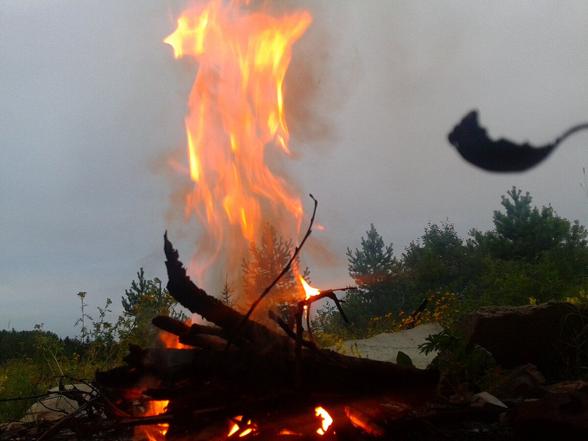 И  каждое утро как праздник — вскакиваешь и бежишь навстречу новому дню,  навстречу новым добрым событиям, навстречу лету!