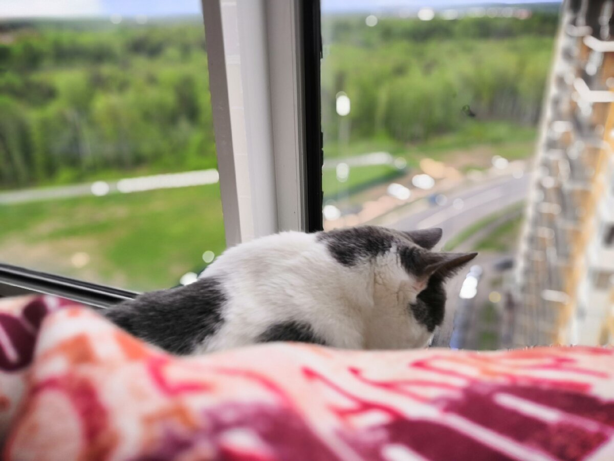 А что это там такое интересное...