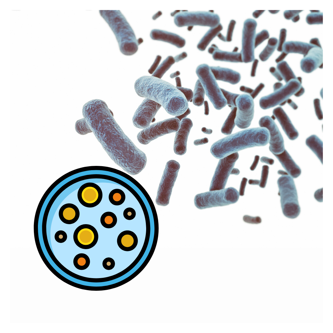 Я художник, я так вижу эту бактерию