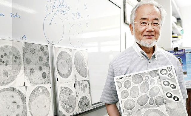 Источник фото: Сноб.ру