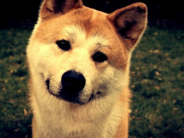 фото из интернета