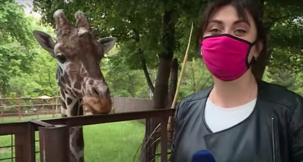 Киев. Отрылся зоопарк. Скриншот видео.