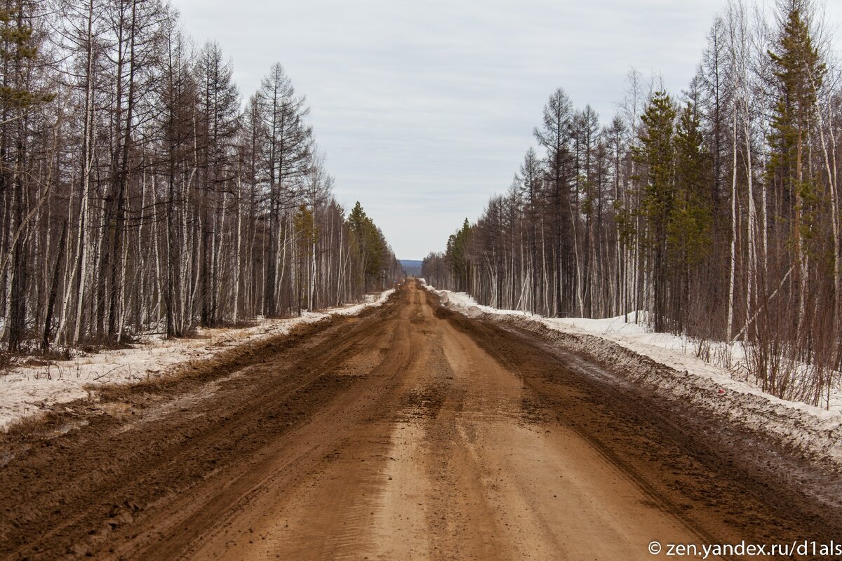 Самая длинная и грязная федеральная автодорога России. Проехал в межсезонье - это похоже на трофи (13+ фото)