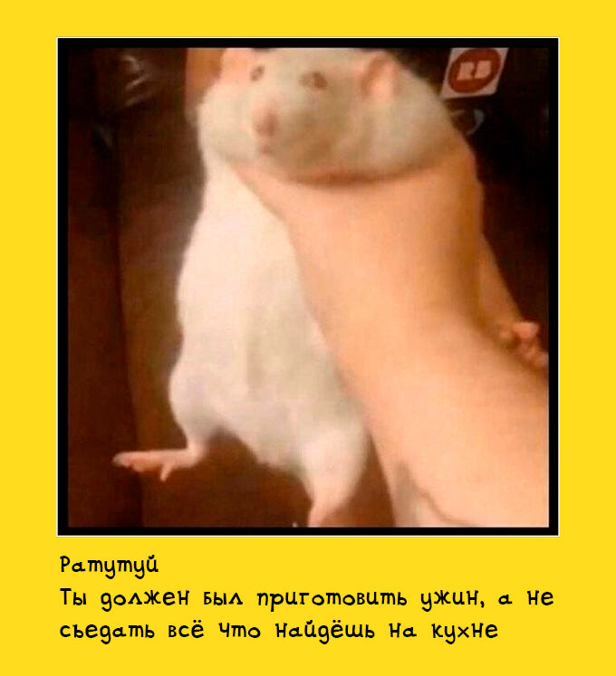 Рататуй перестарался. Он проверял на себе.