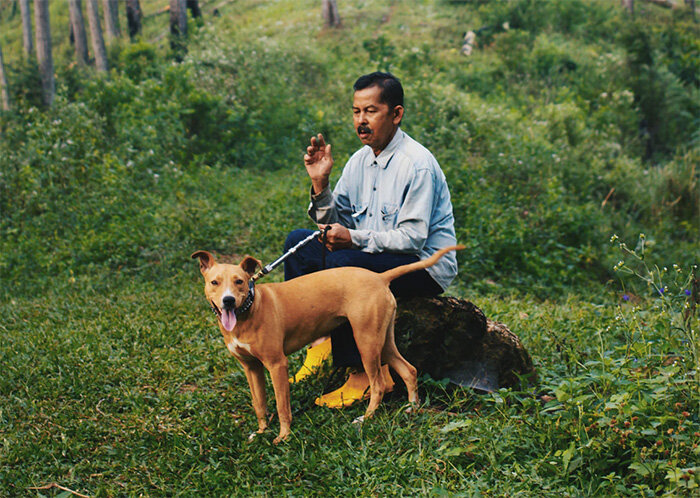 Anjing - собака