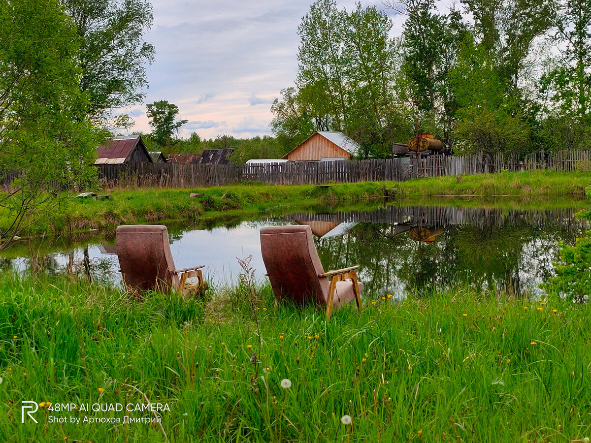 Лес Северная грива