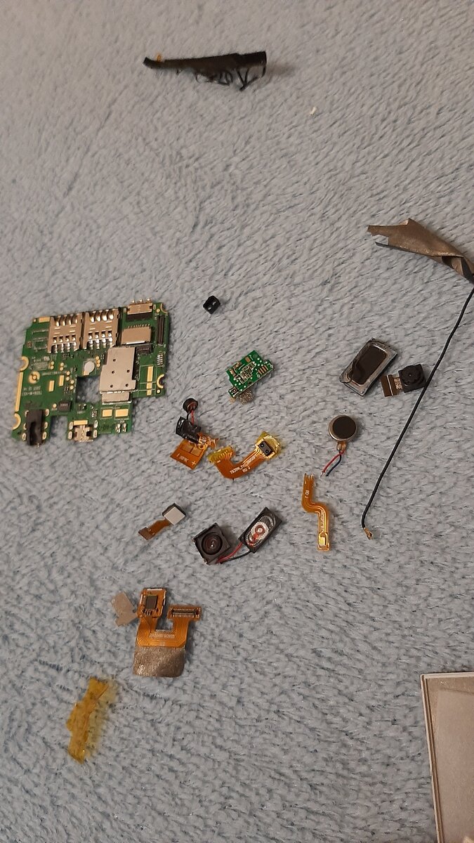 Содержимое